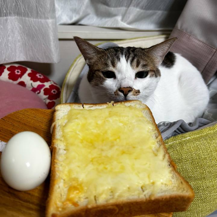 Bc6c4b24 92fe 4392 9681 950b4195587b 1756507282649