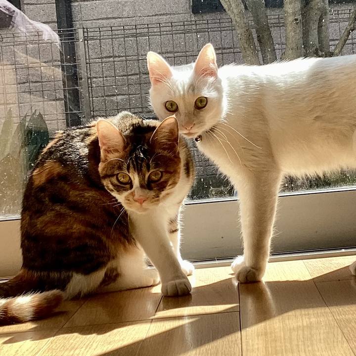 Bc6c7cff c9df 4c88 85ef bc540eb161da 1718754614233