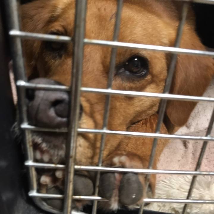 Bc6cdd39 0eca 41fc ac87 4da299fae21a 1558387534124