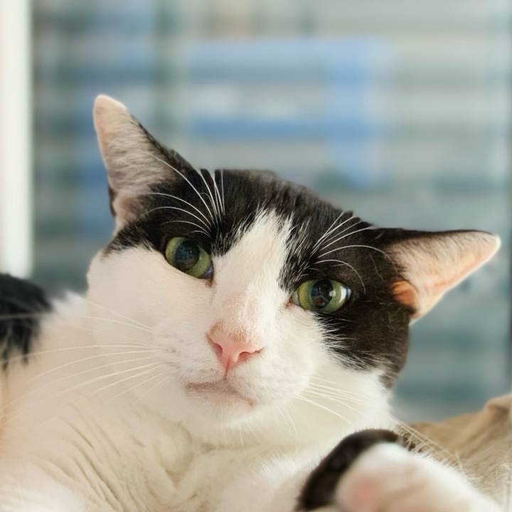 Bc6d104f f9e9 4719 8ead 4115b36fdcdc 1598922903021