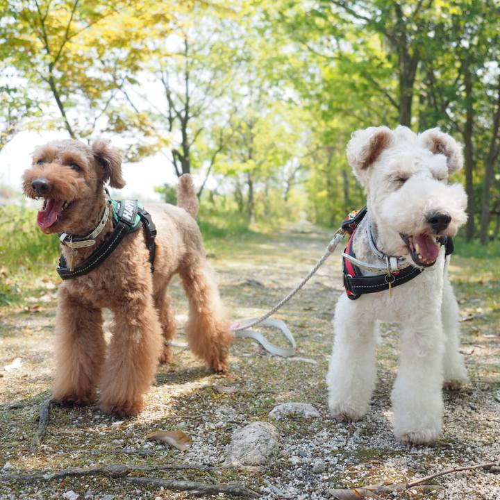 Bc6d4f8f a953 4bbd be4f be43aa9d83a1 1588401506074