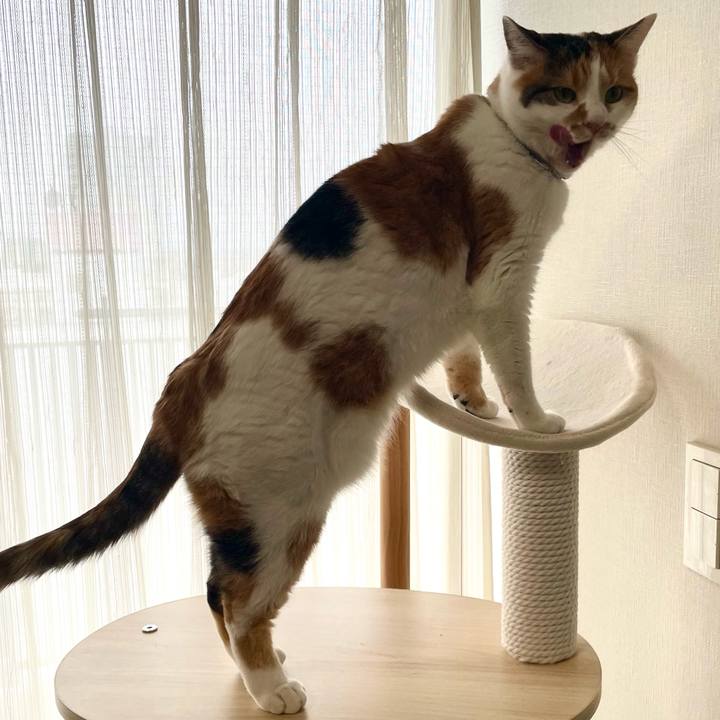 Bc6d7bdb d5fe 4ec9 9784 ac22e573d54f 1704171126744