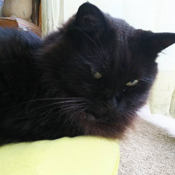 Bc6d7c8c fc9e 4dc1 b024 527a72c44447 1528674054054