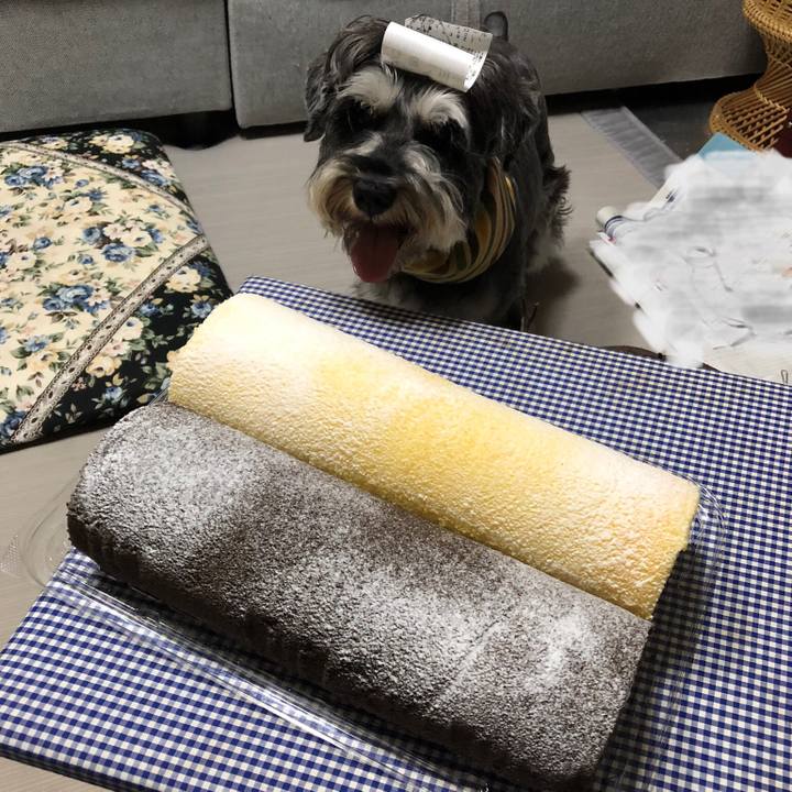 Bc6da642 66c7 4a62 a185 d6a90eefc5ba 1628254721217