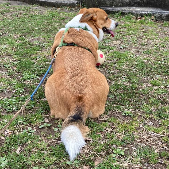 Bc6dc227 1809 4d88 a509 f21aae8eb5db 1709772414940