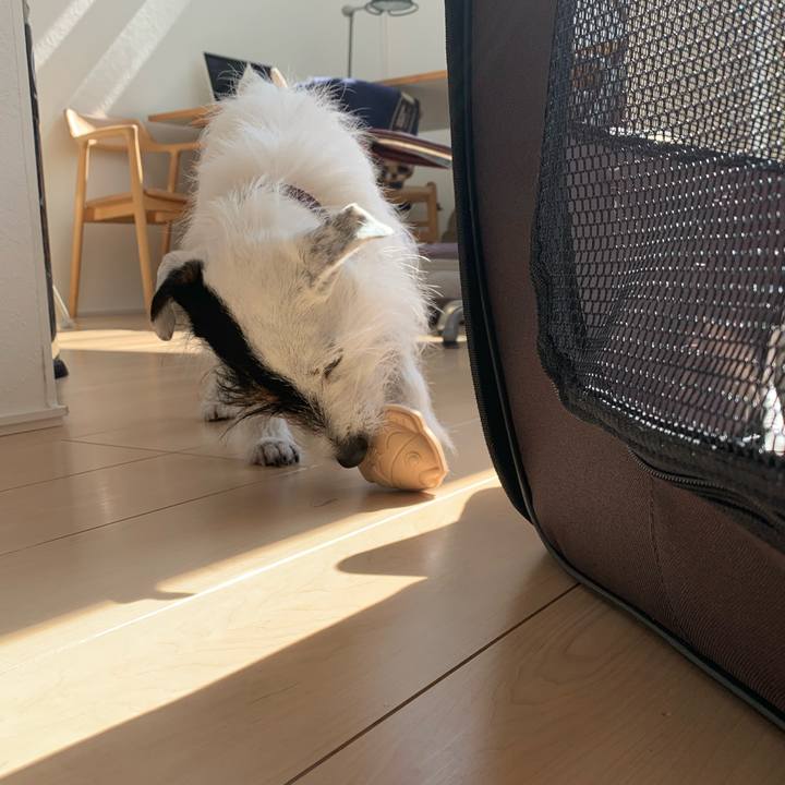 Bc6dd66b abd3 43da 871f bd4d8382dcf4 1646106338969