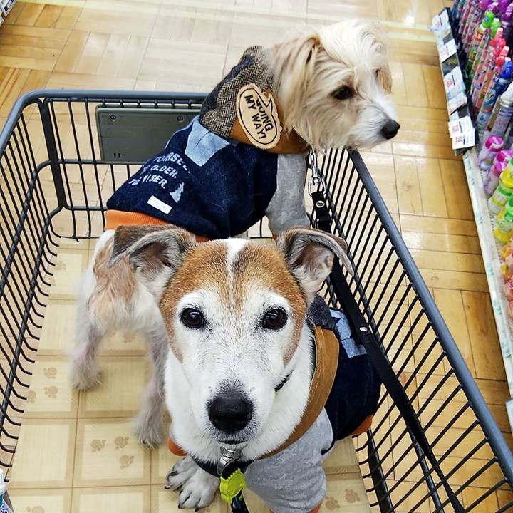 Bc6dfd67 9e4b 4da0 99eb e71ff3bd5b96 1552116335253