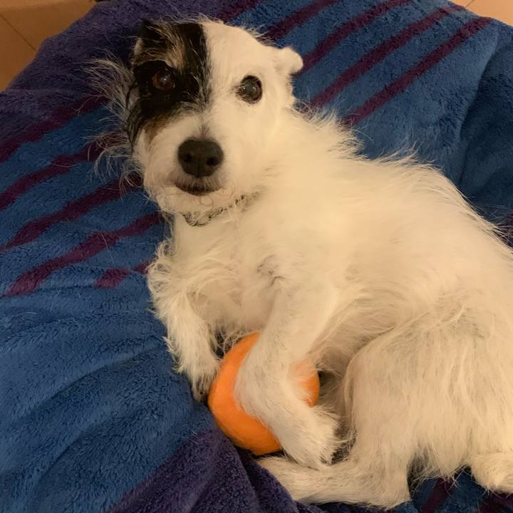 Bc6e0698 2308 457a a60f ec244fefb3fb 1756905141543