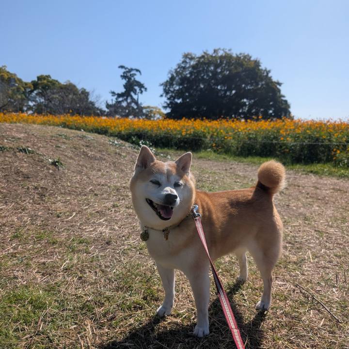 Bc6e1aa8 3f36 4d98 8864 26c094e029f5 1762583036601