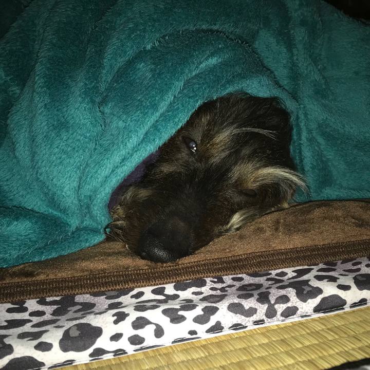 Bc6e1b8e 1f5f 4dce 89bf 9ca6cdc8e004 1552578474375