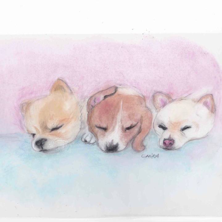 Bc6e7a93 294f 4d2b bc3f 889eae12e63b 1591882660336