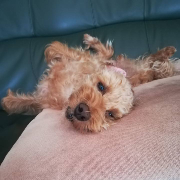 Bc6e9d61 5f65 4ee7 8d76 b733d1a0a5f4 1566098107454