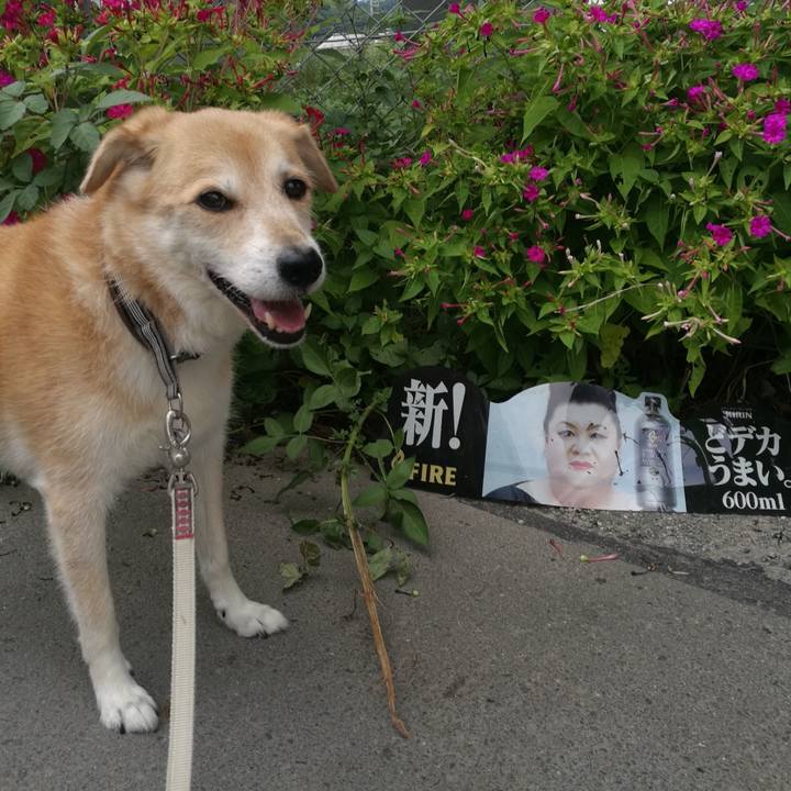 Bc6ea906 54e1 4015 9d26 082b50c30752 1567497026549