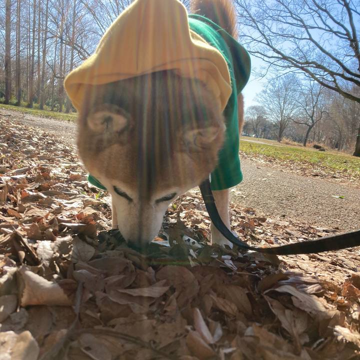 Bc6ec4f7 7ab6 42d5 9c3d fb9897c2de80 1705469016592