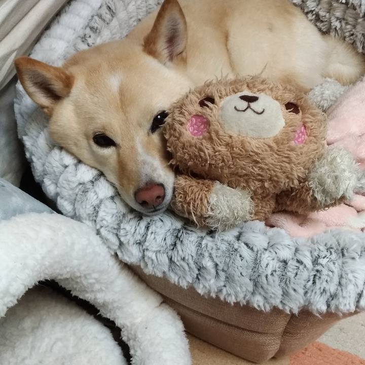 Bc6ef0f7 873c 41d0 9923 550de551cd9b 1579693145946