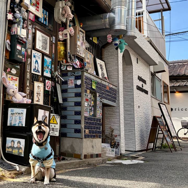 Bc6fc987 2cee 4d62 80dd 8b2b85ec06b6 1773112925332