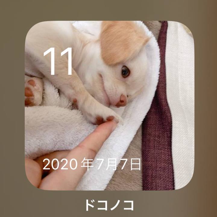 Bc6ff23e 652e 4d3c bf53 fbc336014eab 1689066308133