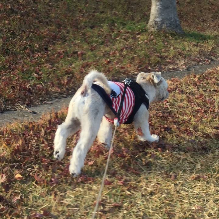 Bc7030fc fbea 47b2 928a 173812509853 1544013231828