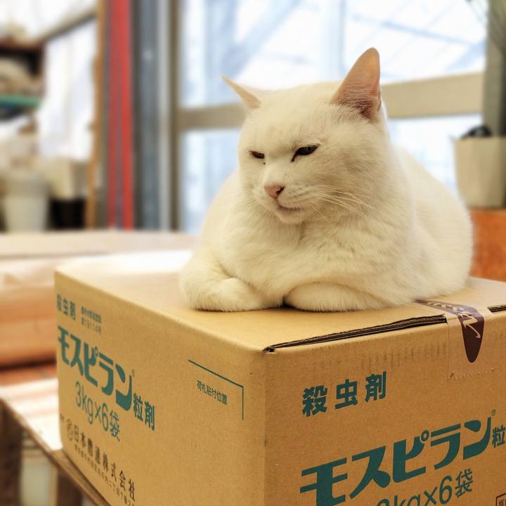 Bc704022 b950 42c8 a928 294b2e24e8cd 1763185019359