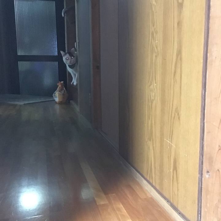 Bc706723 bb3f 4420 bc6d 4129bf0facb0 1525351153749