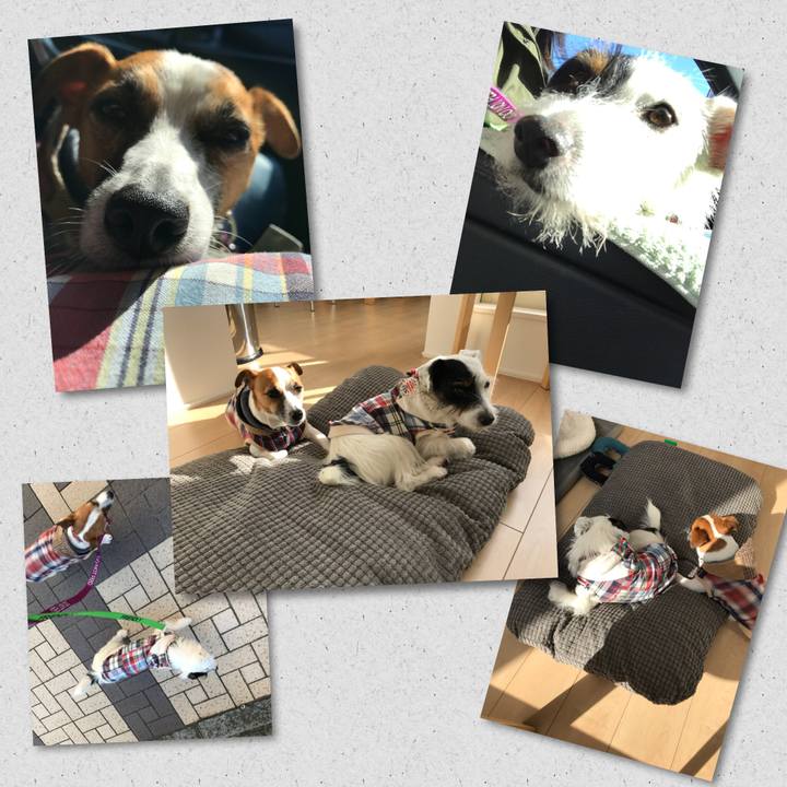 Bc7073ed f79b 4d91 865b fb72212f0b96 1509692460958