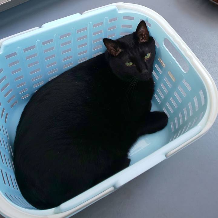 Bc70740b 3521 41ac ba94 909978d908aa 1720314383329