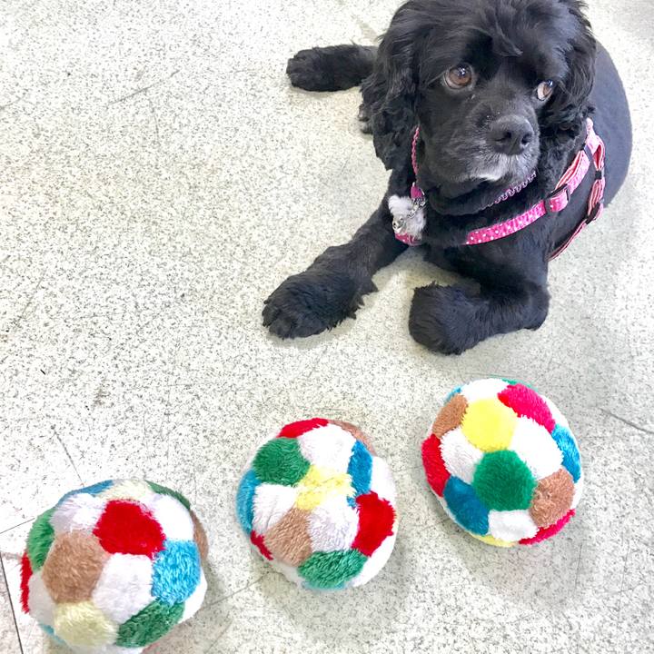 Bc7092af 62aa 46cb bd3c 21f566f006b8 1535981902253