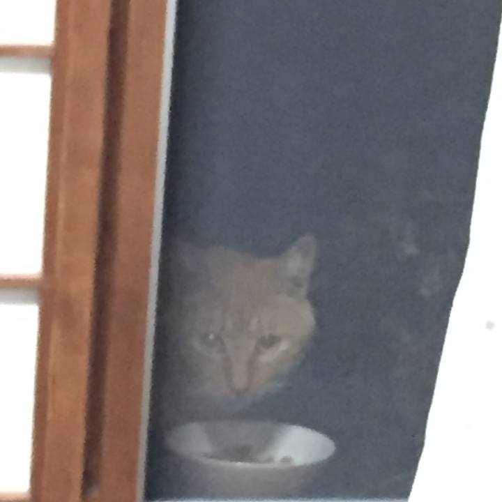 Bc70a51e 3cf5 42bc 966d 318e7f61f1e4 1655467912926