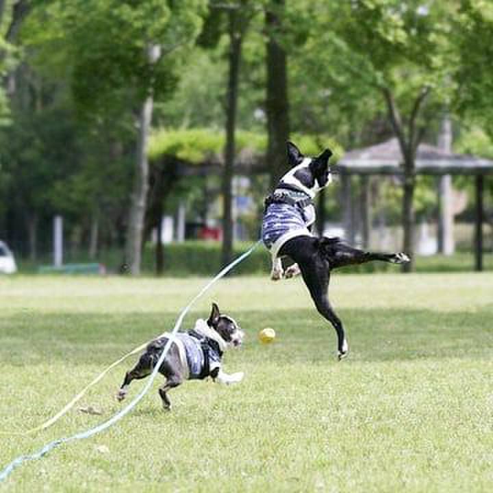 Bc70b4c9 e02f 4908 a91f d277734ef80e 1557486224520