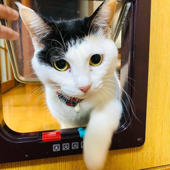 Bc70ff83 d5fd 40f5 95b1 c30f2eea03df 1670678949521