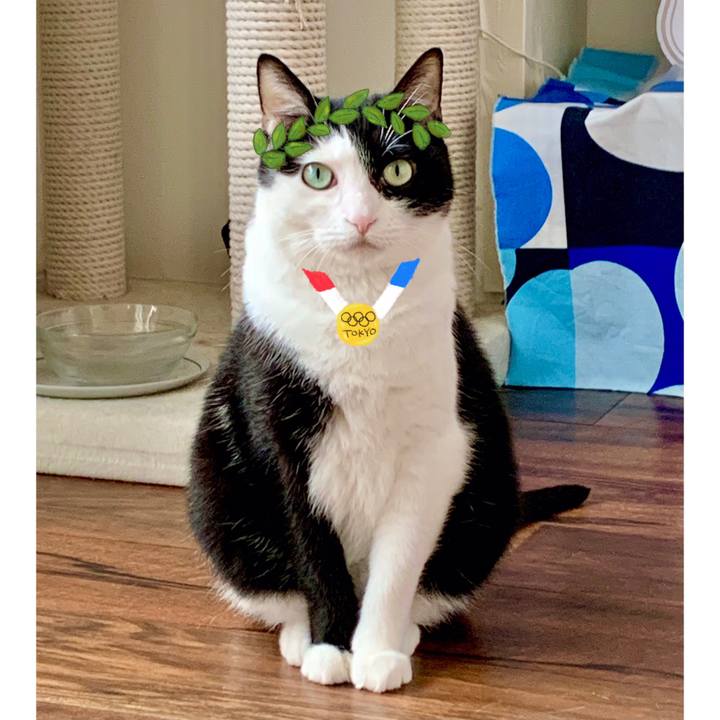 Bc711534 f70b 4e9d a6a0 14a9a30734bf 1627384521429