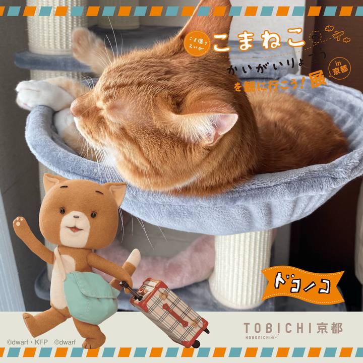 Bc712604 77be 4370 95a4 f94d4221cceb 1740114966657