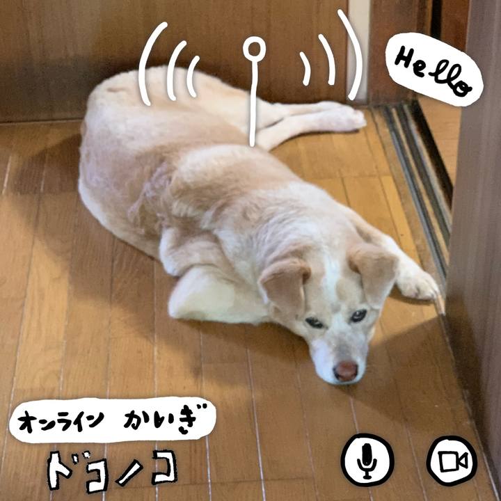 Bc71362d 58a1 431a a62d f149803b3868 1590674007286