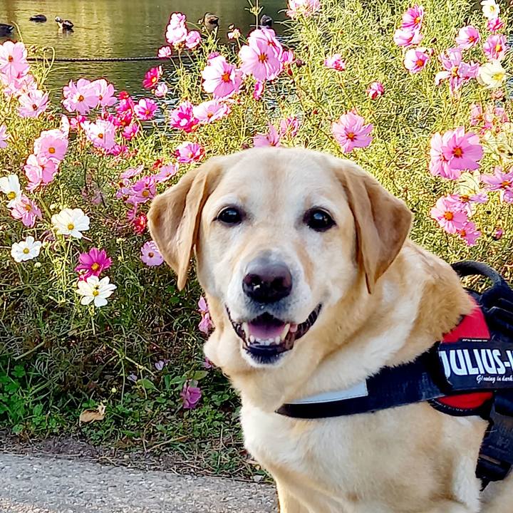 Bc713e92 cb91 42bc 9b56 413baee4d702 1604028066374