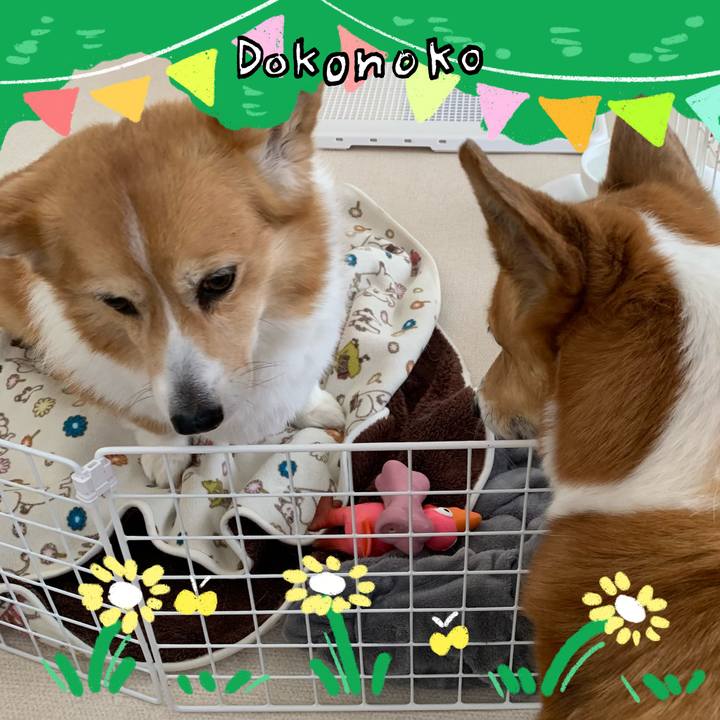 Bc7147bf 6b73 4ac6 a54d 332e1ba9268e 1711082244396