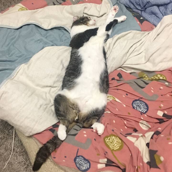 Bc71cd4f ce6d 4746 9d8d 2a083a53fc93 1539617353162