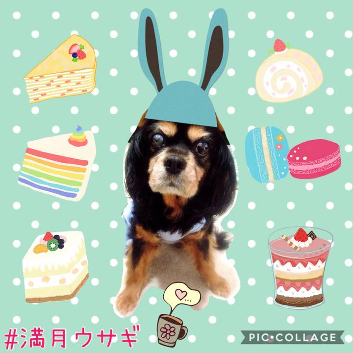 Bc71d338 f74d 4307 8f32 522bf5c1a960 1583840568580