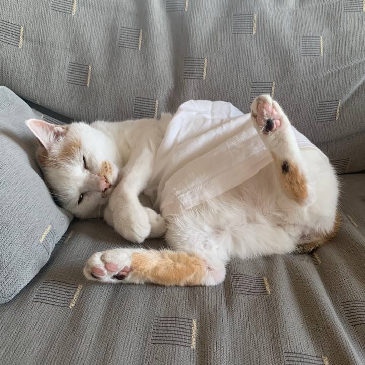 Bc71d7b2 80b5 4b19 895f 8c3f33aae6d7 1567593294504