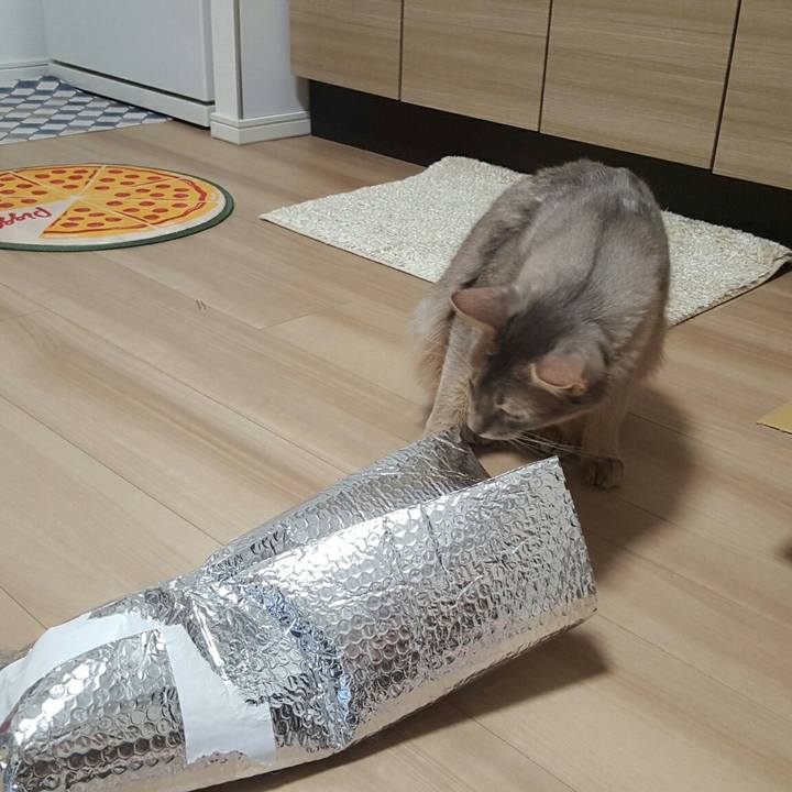 Bc71dc52 ce6d 4822 828e 99c1a2a97d22 1539351342066