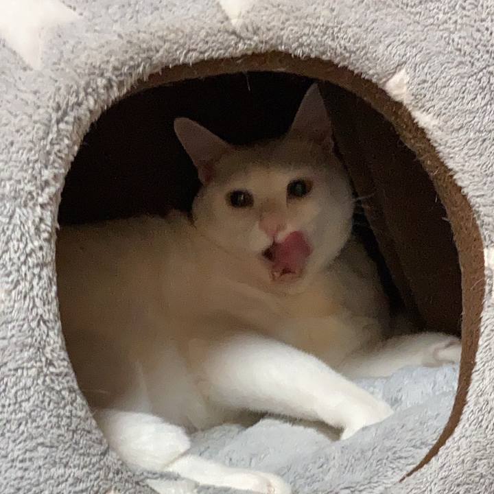 Bc71e59e 0e13 4983 a924 dd862d070f42 1668778846747