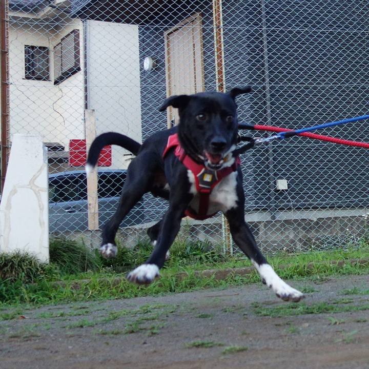 Bc71e932 fa90 4d8c b0f6 966c26cd1c46 1591699883295