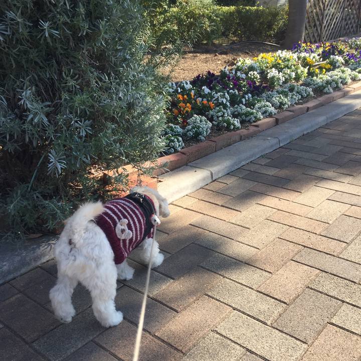 Bc71f643 3ebc 47bd b548 a71d4a84e737 1512913502012