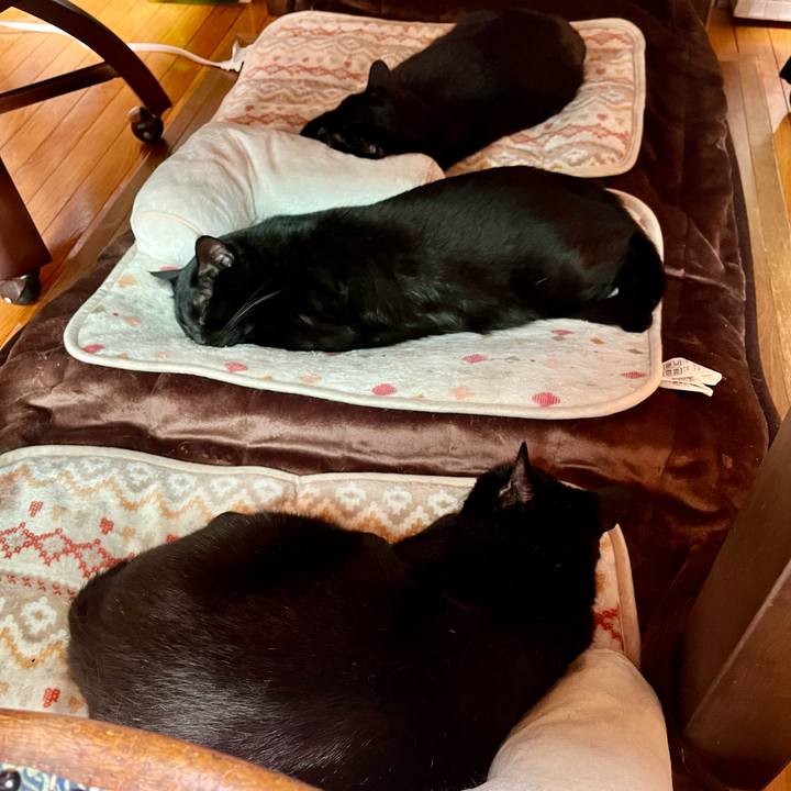 Bc7201df f17a 4026 9c1c 3896e33de274 1704946566463