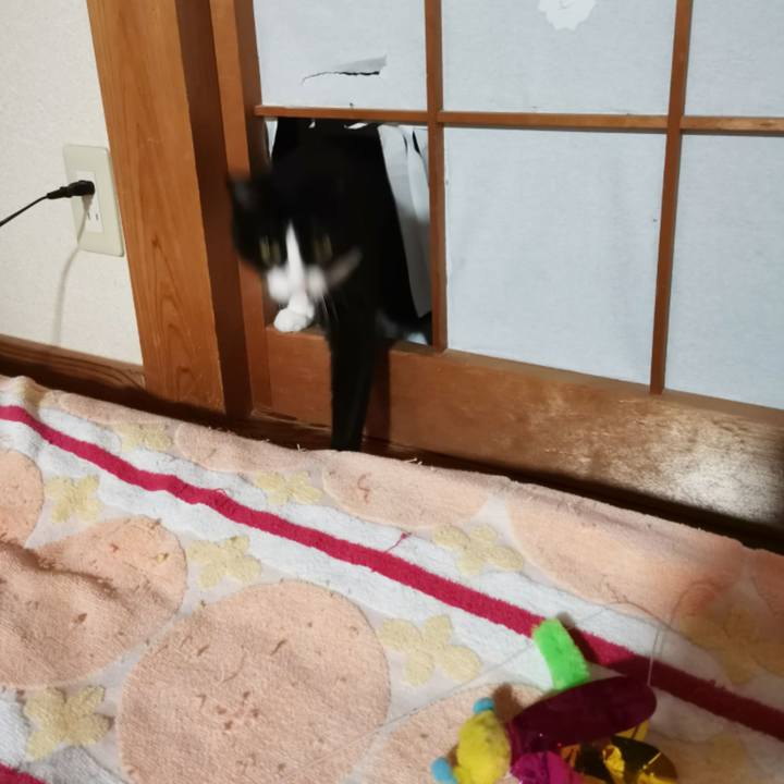 Bc722337 0ec1 4e5f af12 a5bd3a9d0950 1599795390042