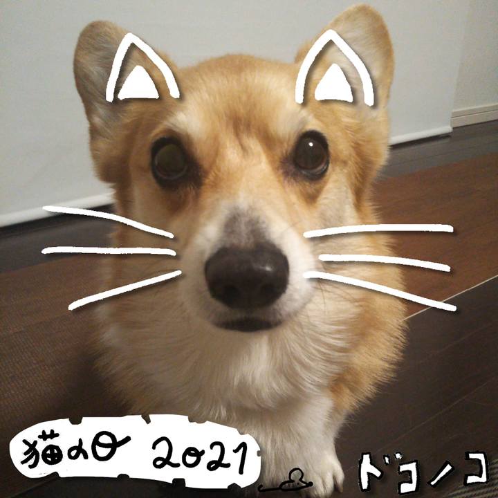 Bc7228e3 f2f2 4d44 99cd 48774a0af05d 1614004749192