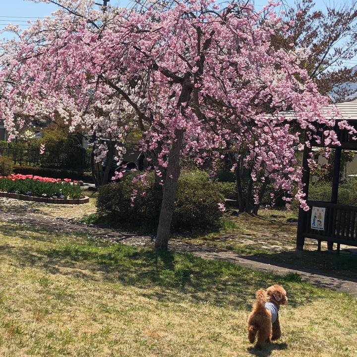 Bc724846 73ba 456d 8a7d 2703ad406502 1555556280913