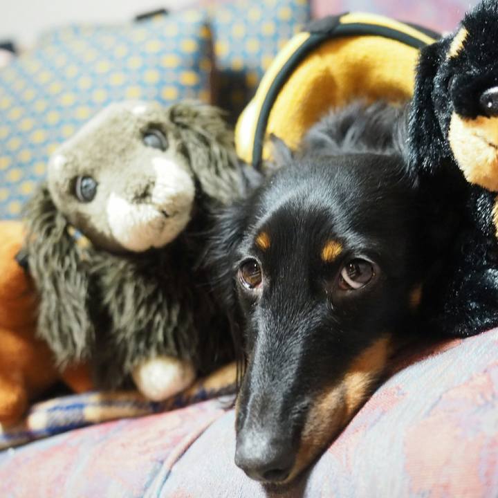 Bc724f2c afc9 4ec4 a29a e28957c5611d 1518498110133