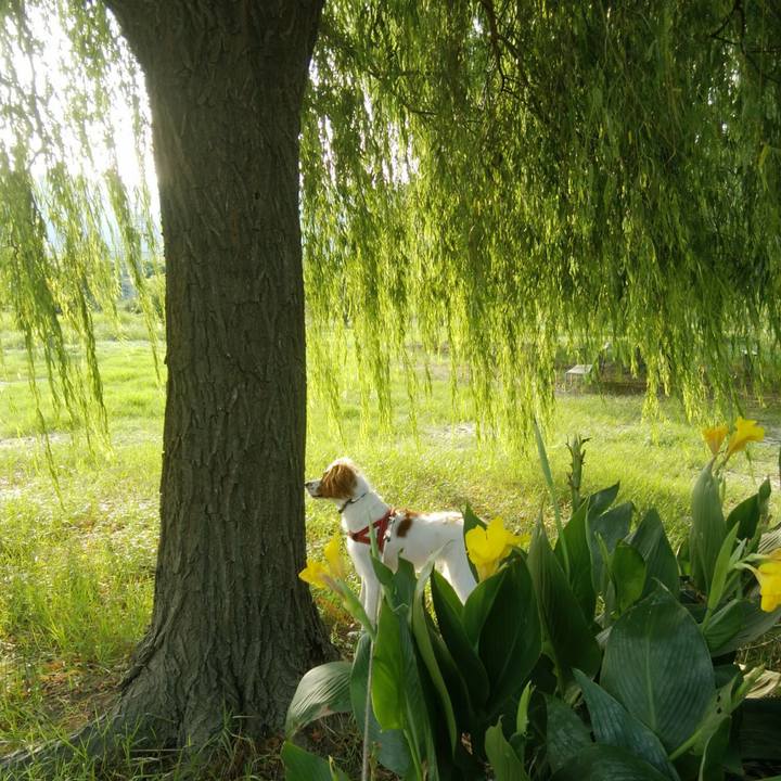 Bc727637 ff22 4aea 8154 dd8cbf7abfc0 1533631709014