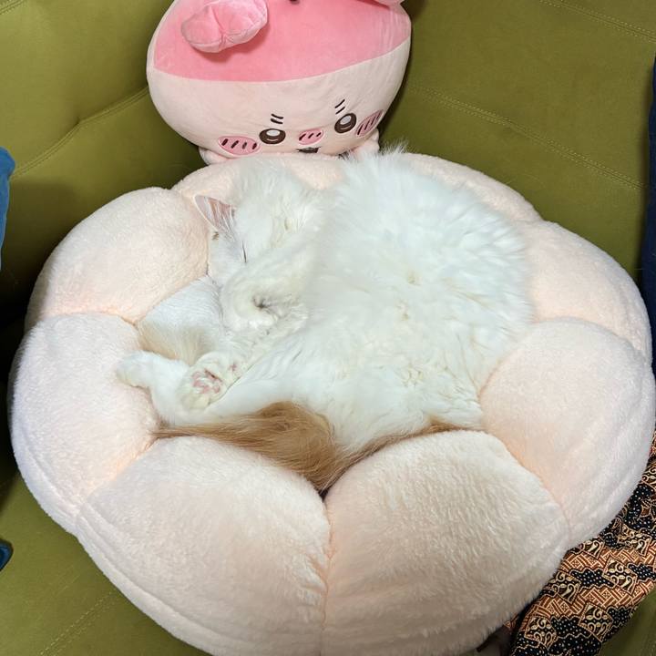 Bc727ca8 27c3 41b2 8089 3bec4c7b1eb2 1764466583092