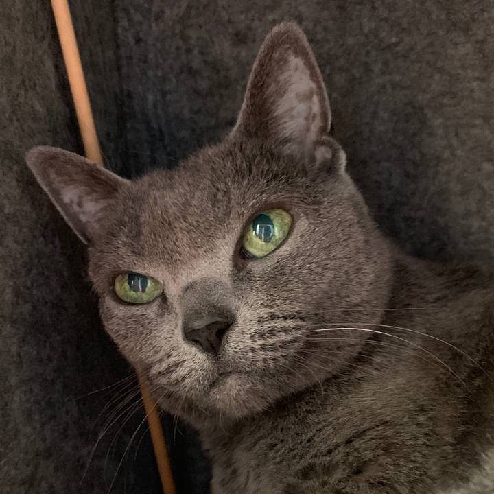 Bc728d51 3001 4a63 858e 889d06bf5ac2 1553208134624